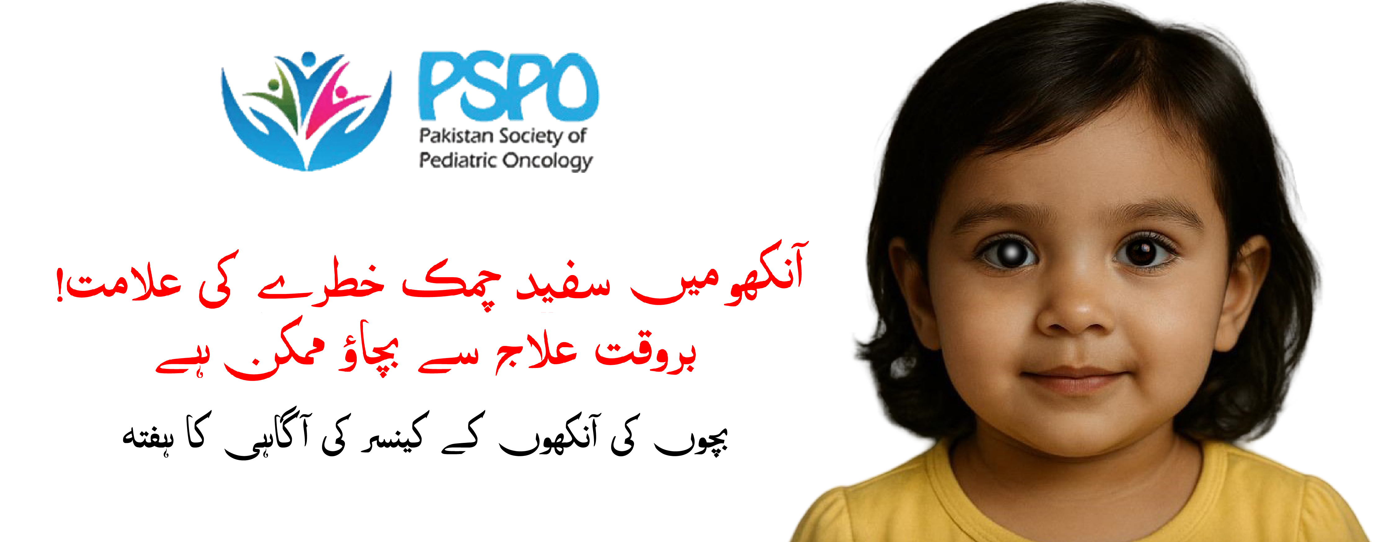 PSPO Hero Image 1